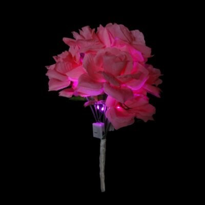 Ramo de flores luminoso