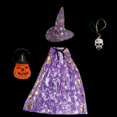 DISFRAZ HECHICERO BRUJA HALLOWEEN