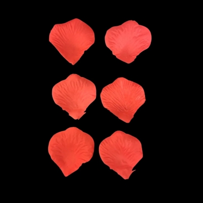 BOLSITA DE PÉTALOS ARTIFICIALES 25g