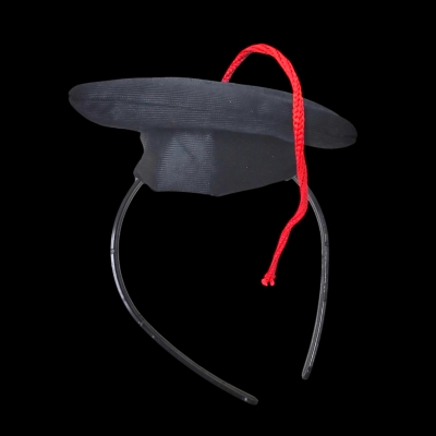 VINCHA EGRESADOS BIRRETE