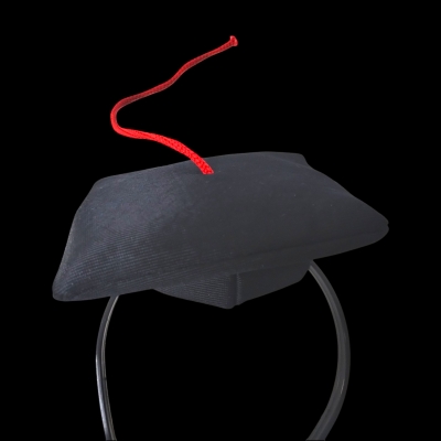 VINCHA EGRESADOS BIRRETE